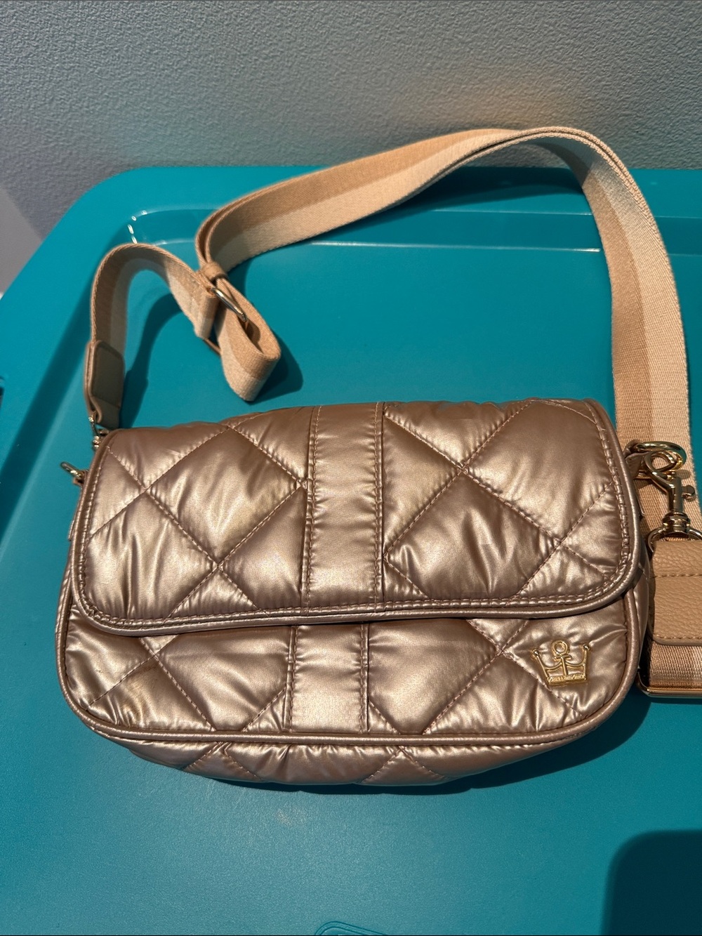 Bestie Baguette Crossbody in Champagne